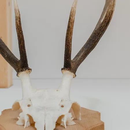 Haus Weigt - Gruene Apartmán *